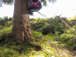 k1600_familiennester_2023-102